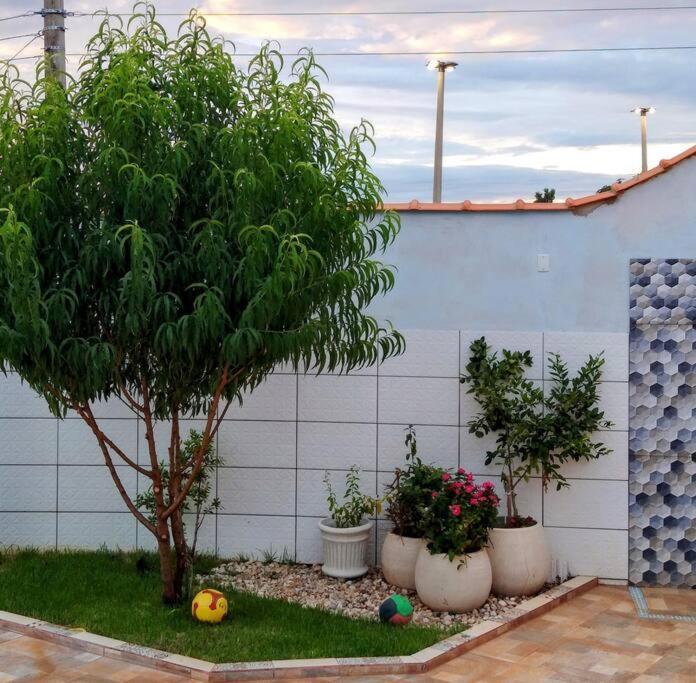 Canto Almeida